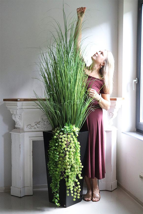 Black Hampton, trawy i sukulenty w donicy fiberglass