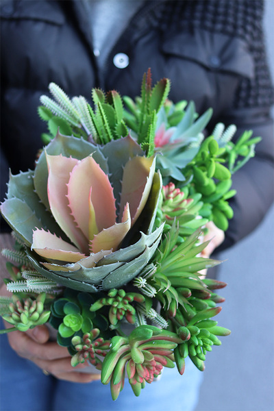 Nord Concrete 2, kompozycja sukulenty w betonowej donicy