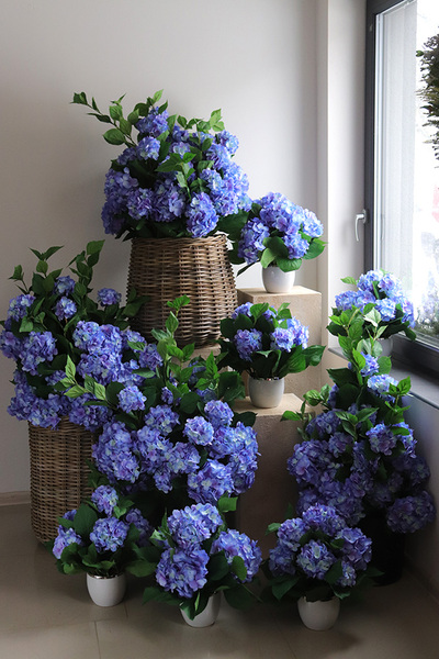 Blue Moon Glamour, kompozycja kwiatowa z hortensji
