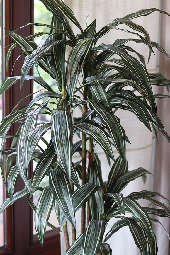 Dracena Bellis, sztuczna roślina w doniczce