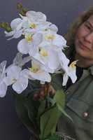 Luise Figaro White, sztuczny storczyk w prostej donicy