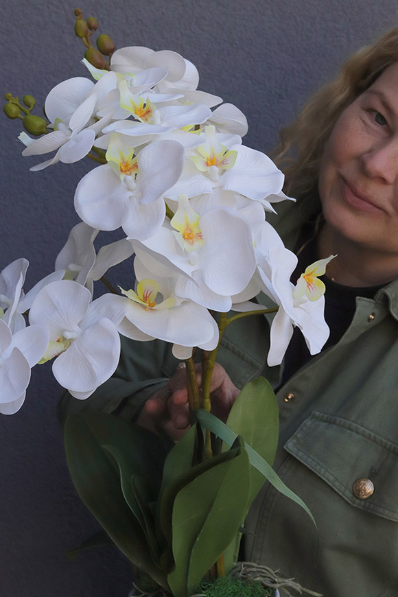 Luise Figaro White, sztuczny storczyk w prostej donicy