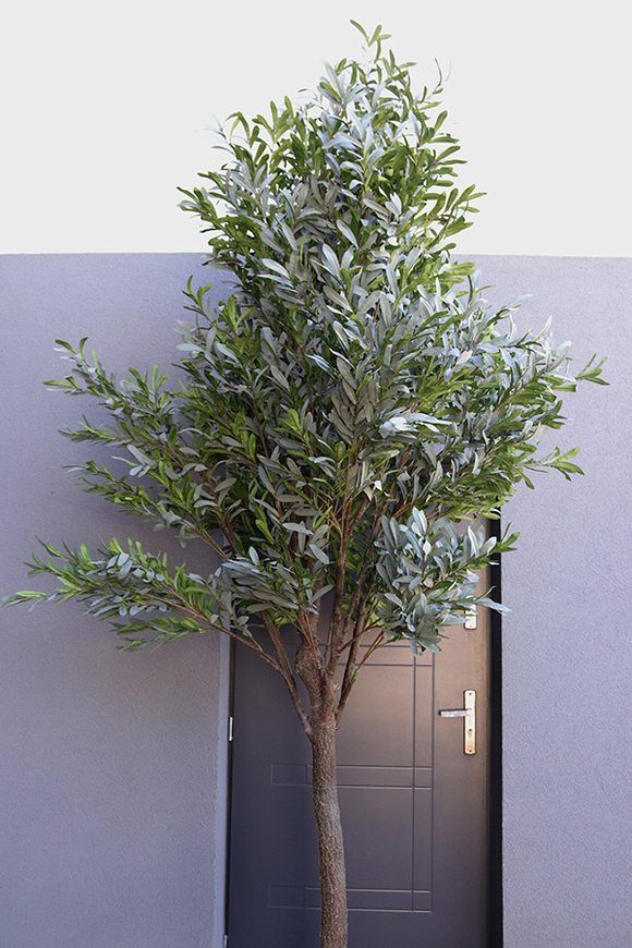 Oliwka Premium XXL, sztuczna roślina drzewko oliwne