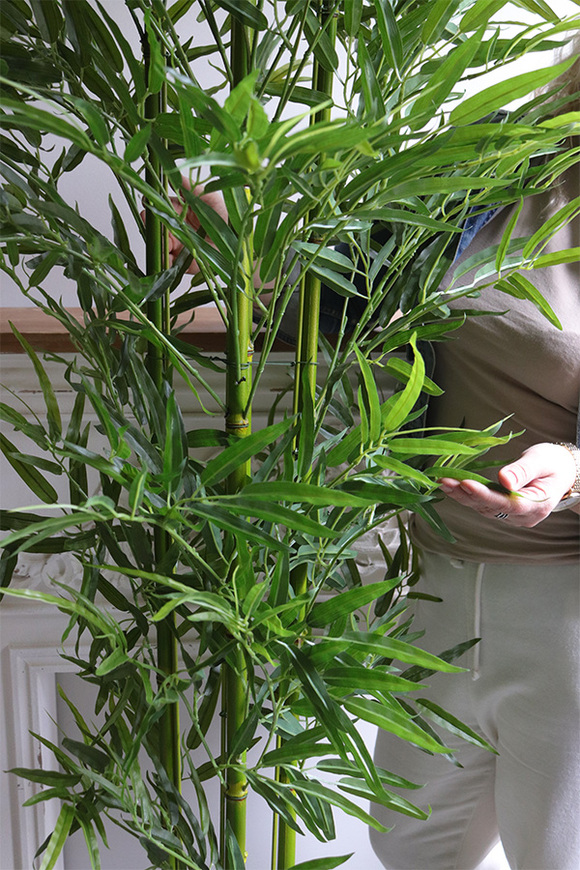 Bambus Fiberglass, sztuczna roślina w czarnej donicy