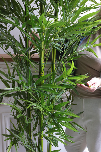 Bambus Fiberglass, sztuczna roślina w czarnej donicy