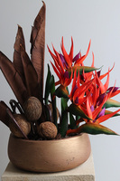 Strelicja Paradiso, nowoczesna dekoracja w misie