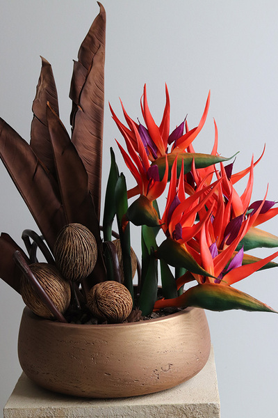 Strelicja Paradiso, nowoczesna dekoracja w misie