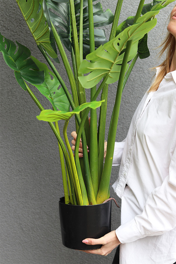 Monstera, sztuczne drzewko w osłonce donicy