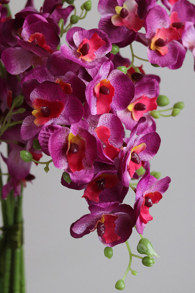 Fuksjowa Bajka, sztuczny storczyk w naczyniu