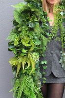 Lesotho Jungle, girlanda z zielonych zwisających pędów