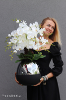 Patras, storczyk w szklanym naczyniu