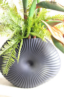 Strelicja Dekina Red, egzotyczna kompozycja w wazonie