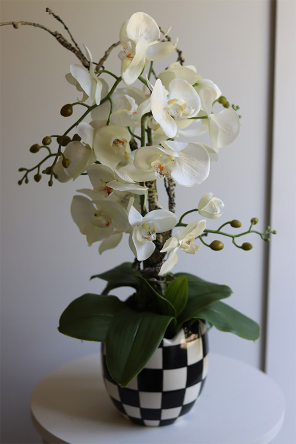 Szachownica, sztuczny storczyk w doniczce