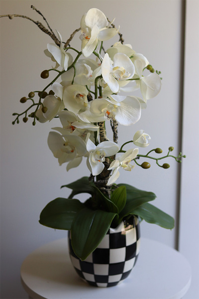 Szachownica, sztuczny storczyk w doniczce