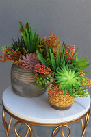 City Life, kompozycja sukulenty w donicy etno, wys.33cm