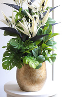 Kredeliana Oliver, kompozycja ze strelicją w złotej donicy