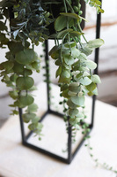 Cybilla, kompozycja sukulenty w donicy na stojaku, wys.69cm