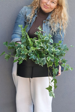 Bluszcz Modern, kompozycja roślinna w donicy na balkon, wym.45x50cm