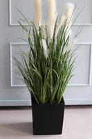 Dania Cube, kompozycja z traw pampasowych w czarnej donicy, wys.118cm