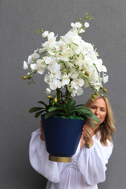 Blue Moon 2, biały sztuczny storczyk w niebieskiej donicy, wys.100cm