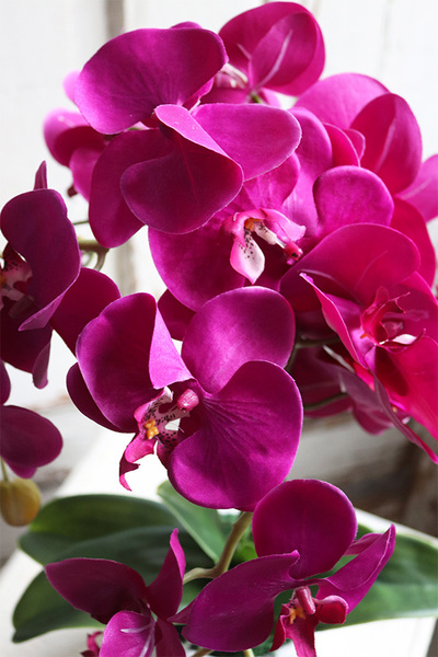 Hetra Fuksja, sztuczny storczyk w białej donicy, wys.56cm