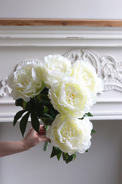 Love Me, bukiet peonii do wazonu, kremowe, dł.65cm