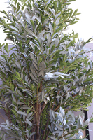 Oliwka Premium XXL, sztuczna roślina drzewko oliwne