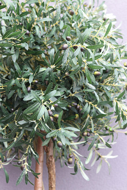 Drzewko Oliwne / Oliwka, sztuczne drzewko w osłonce, wym.196cm 