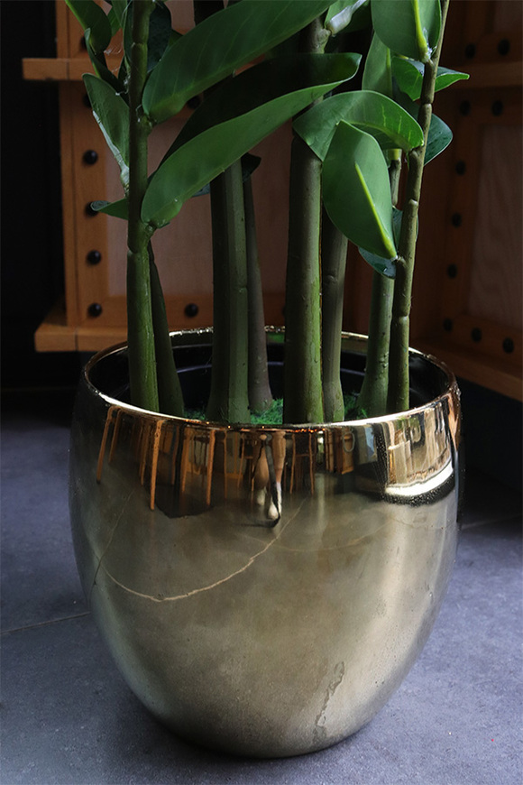 Zamiokulkas Gold, sztuczna roślina w doniczce