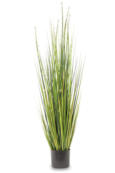 sztuczna trawa, Nadmorska, wys.123cm