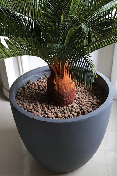 Cykas Concrete, sztuczna roślina w betonowej donicy