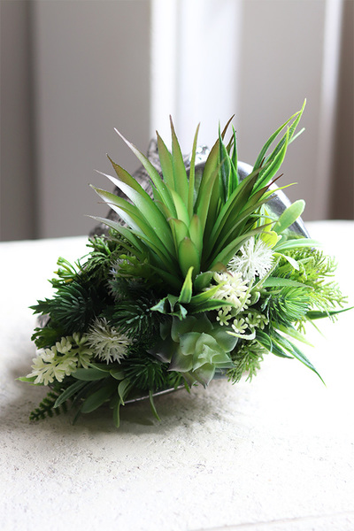 elegancka muszla z sukulentami, Morska Fala 3