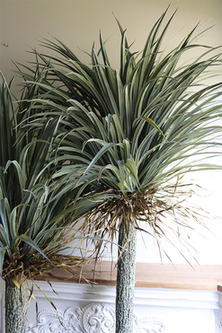 Jukka Rostrata (wyższa), sztuczna roślina w donicy na stojaku, wys.203cm 