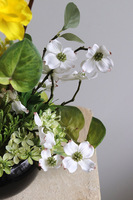 Mireni, wiosenna kompozycja w misie