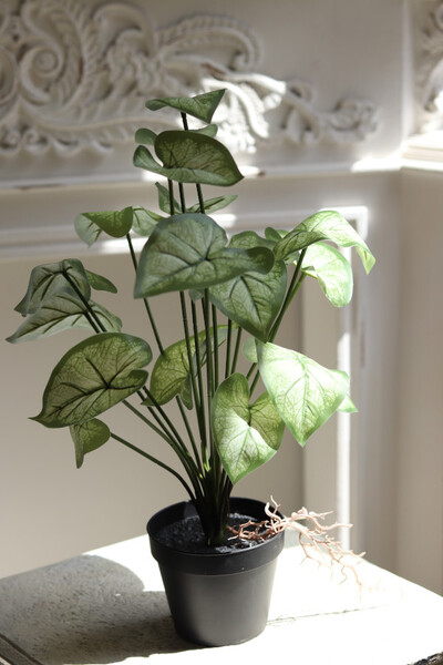 Greento, sztuczna roślina w doniczce