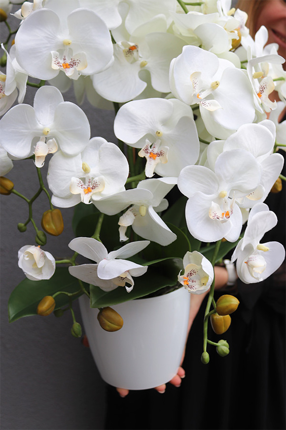 White House Mediolan 2, sztuczny storczyk w donicy