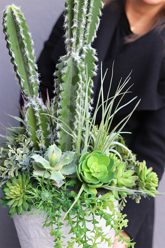 Cacti Saute A, sukulenty z kaktusem w stretchu, wys.70cm