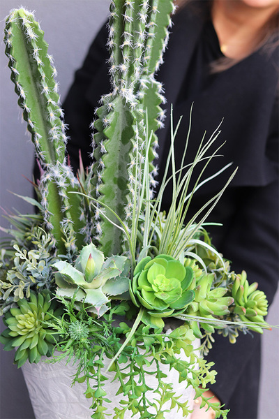 Cacti Saute A, sukulenty z kaktusem w stretchu, wys.70cm