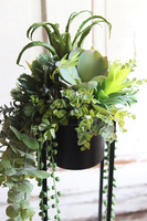 Cybilla, kompozycja sukulenty w donicy na stojaku, wys.69cm