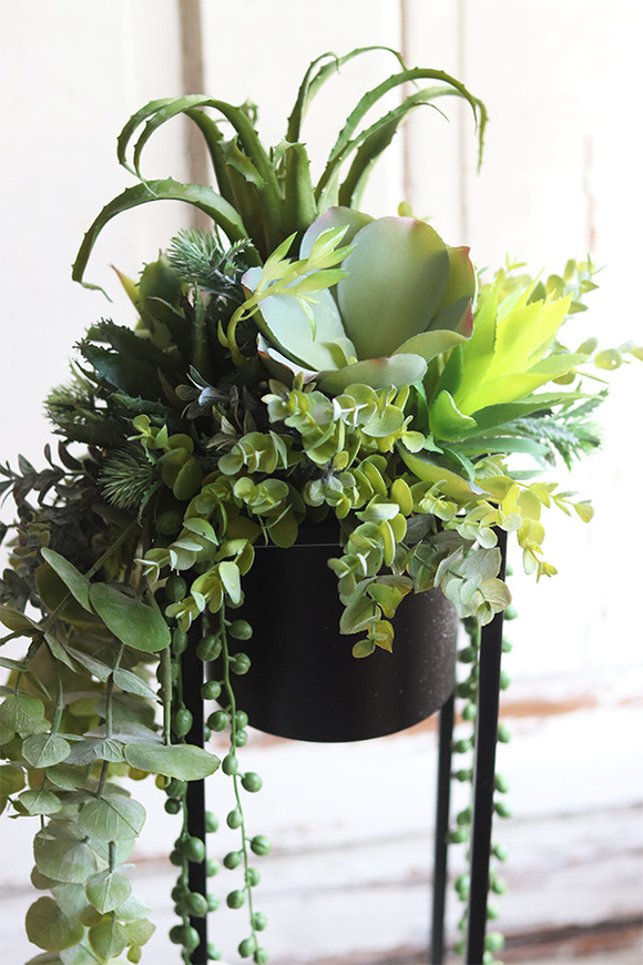 Cybilla, kompozycja sukulenty w donicy na stojaku, wys.69cm