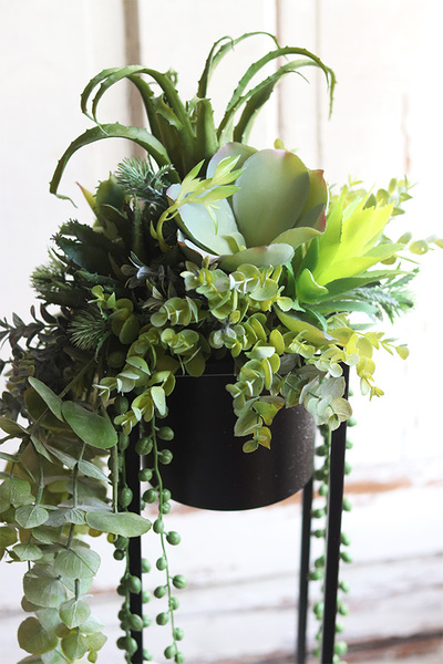 Cybilla, kompozycja sukulenty w donicy na stojaku, wys.69cm