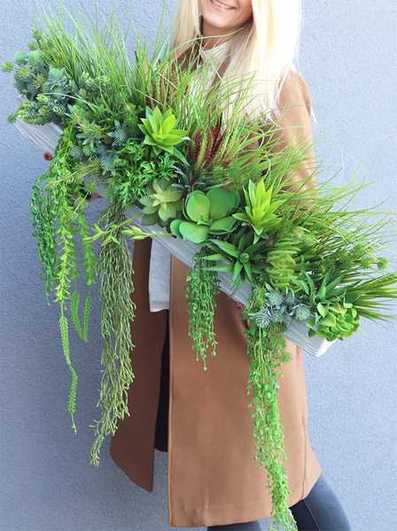 kompozycja Sukulenty do twojej donicy, Hedatia, wym.30x70x10cm