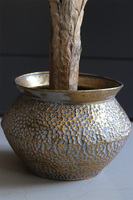 Bananowiec Eduardo, sztuczna roślina w donicy