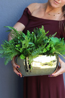 Goldie Greena, kompozycja z sukulentami w donicy glamour