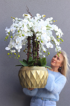 GoldLine Freria, sztuczny storczyk w złotej donicy, wys.100cm