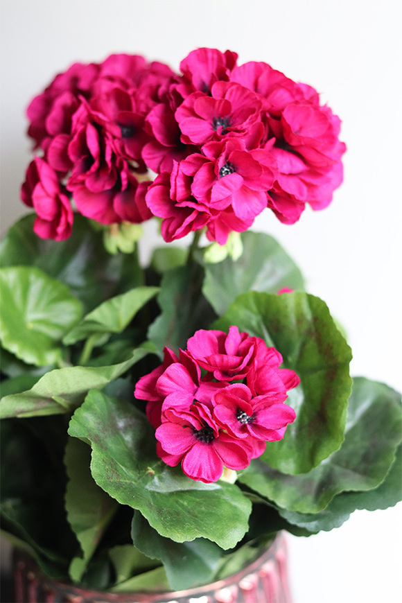 Pelargonie Bosco Pink, kompozycja kwiatowa w wazonie