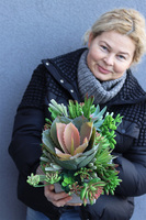 Nord Concrete 2, kompozycja sukulenty w betonowej donicy