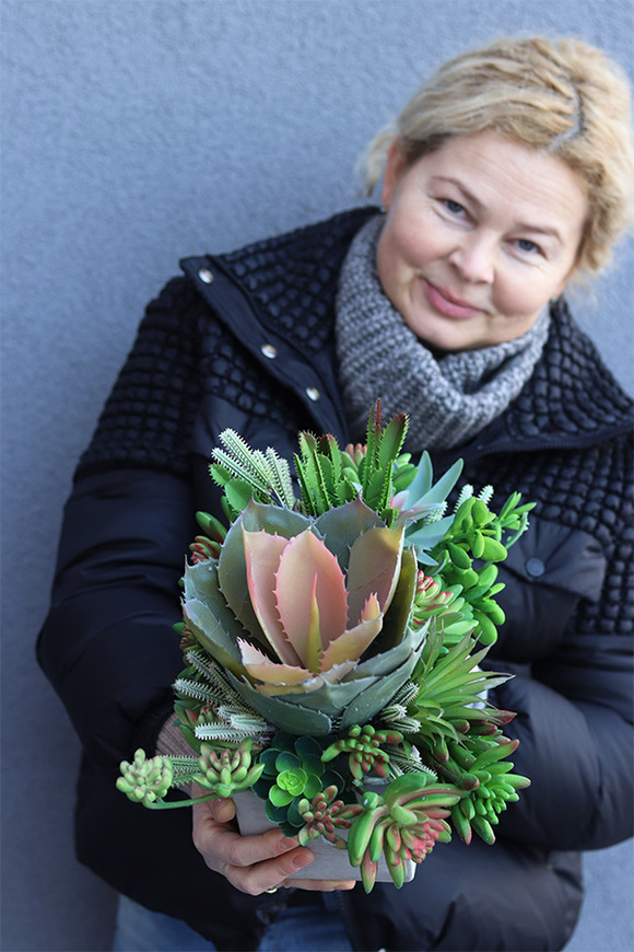 Nord Concrete 2, kompozycja sukulenty w betonowej donicy