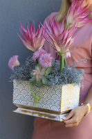 Pastelonia Echmea, kompozycja kwiatowa w metalowej doniczce