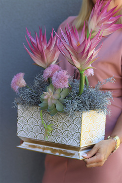 Pastelonia Echmea, kompozycja kwiatowa w metalowej doniczce, wym.34x45cm